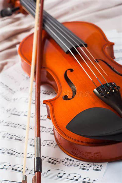 violino